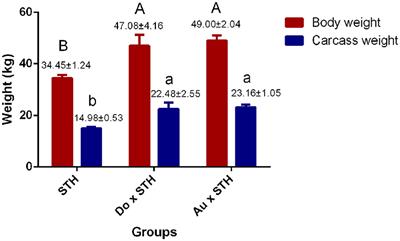 The comparison of meat yield, quality, and flavor between small-tailed Han sheep and two crossbred sheep and the verification of related candidate genes